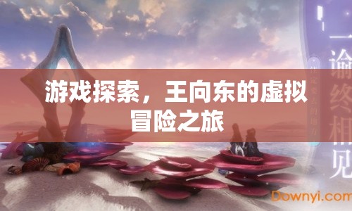 王向東的虛擬冒險(xiǎn)之旅，游戲探索的奇妙之旅