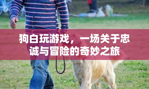 狗白，一場關(guān)于忠誠與冒險的奇妙之旅