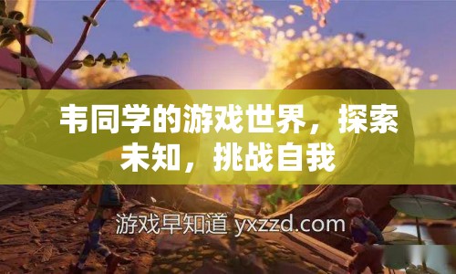 韋同學(xué)的游戲世界，探索未知，挑戰(zhàn)自我