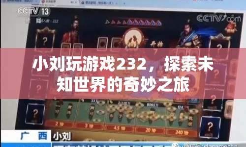 小劉探索游戲世界，奇妙之旅的232個(gè)精彩瞬間