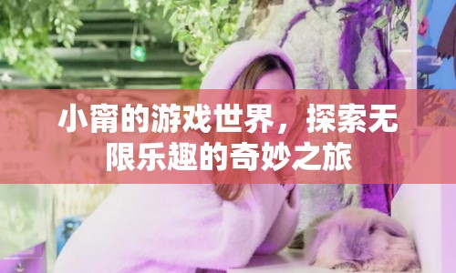 小甯的游戲世界，探索無(wú)限樂(lè)趣的奇妙之旅  第1張