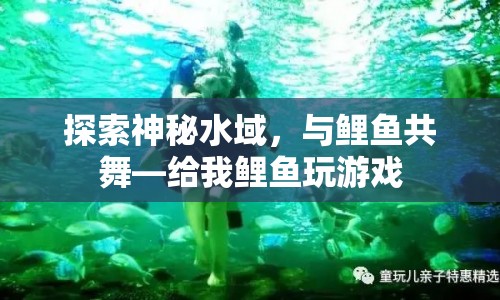 探索神秘水域，與鯉魚(yú)共舞，給我鯉魚(yú)玩游戲