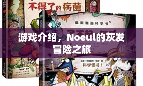 Noeul的灰發(fā)冒險(xiǎn)之旅，探索未知世界的奇幻之旅