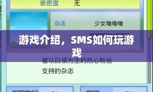 SMS游戲玩法指南