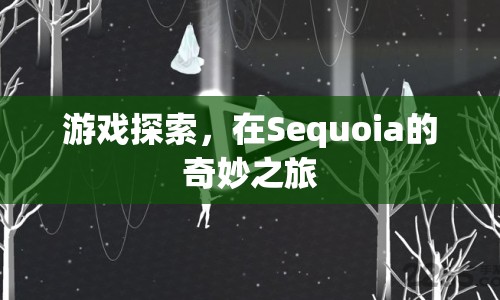 Sequoia的奇妙之旅，探索游戲世界的奧秘