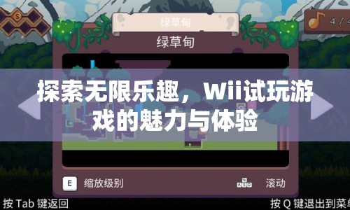 Wii試玩游戲，探索無限樂趣的魅力與體驗