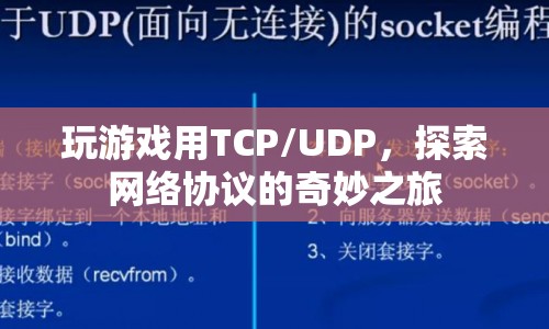 探索網(wǎng)絡(luò)協(xié)議的奇妙之旅，TCP/UDP在游戲中的應(yīng)用