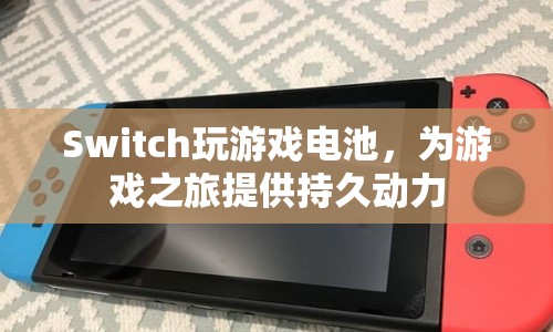 Switch游戲電池，為游戲之旅提供持久動(dòng)力