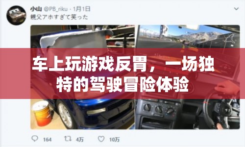 駕駛冒險，車上游戲引發(fā)反胃的奇妙之旅