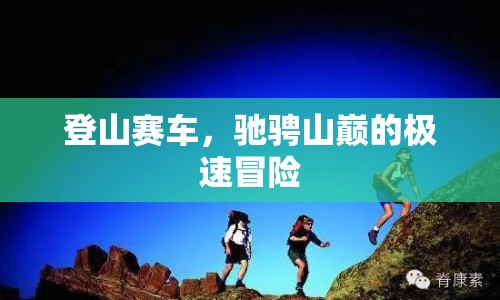 山巔極速冒險(xiǎn)，登山賽車之旅