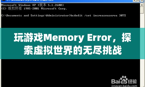 虛擬世界中的無盡挑戰(zhàn)，Memory Error的奧秘