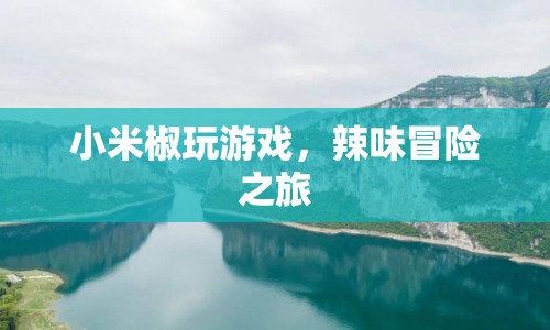 小米椒的辣味游戲冒險之旅