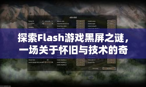 Flash游戲黑屏之謎，懷舊與技術(shù)的奇妙冒險(xiǎn)