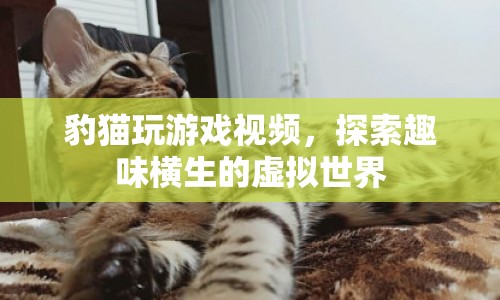 豹貓?zhí)剿魈摂M世界，趣味橫生的游戲視頻  第1張