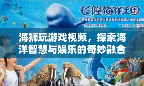 海獅游戲，探索海洋智慧與娛樂的奇妙融合