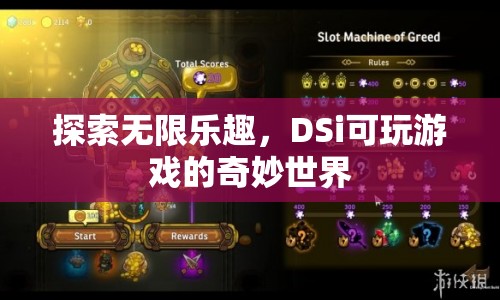 DSi可玩游戲的奇妙世界，探索無(wú)限樂(lè)趣