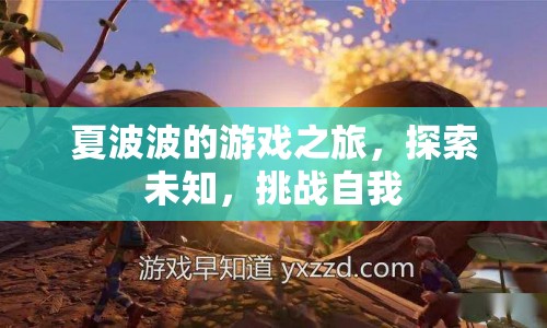 夏波波游戲之旅，探索未知，挑戰(zhàn)自我