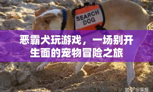 惡霸犬的寵物冒險(xiǎn)，一場(chǎng)別開(kāi)生面的游戲之旅