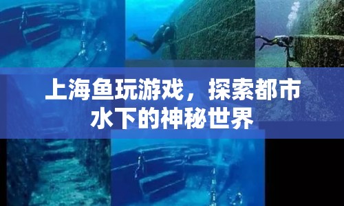 上海魚玩游戲，探索都市水下的神秘世界