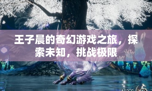 王子晨的奇幻冒險(xiǎn)，探索未知，挑戰(zhàn)極限