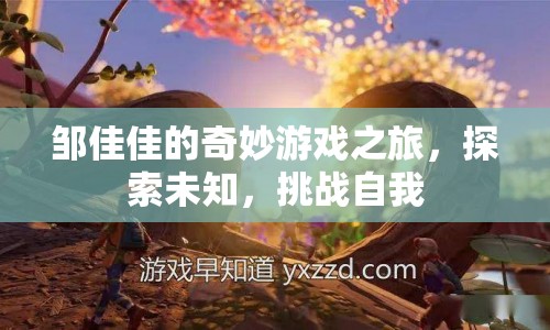 鄒佳佳的奇妙冒險，探索未知，挑戰(zhàn)自我之旅