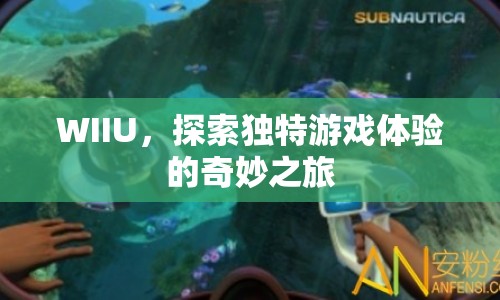 WIIU，開(kāi)啟獨(dú)特游戲體驗(yàn)的奇妙之旅