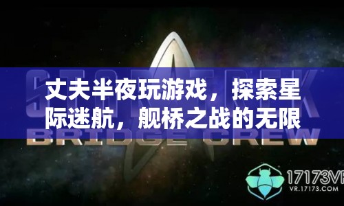 星際迷航，艦橋之戰(zhàn)的無限可能，丈夫深夜探索游戲世界