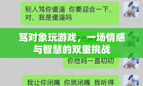 罵對象玩游戲，情感與智慧的雙重挑戰(zhàn)