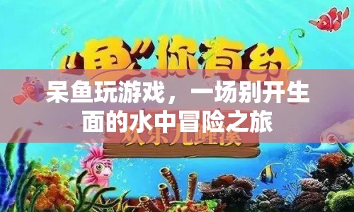 水中冒險(xiǎn)之旅，呆魚玩游戲