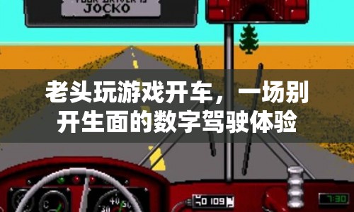 老頭數(shù)字駕駛，游戲開車體驗(yàn)