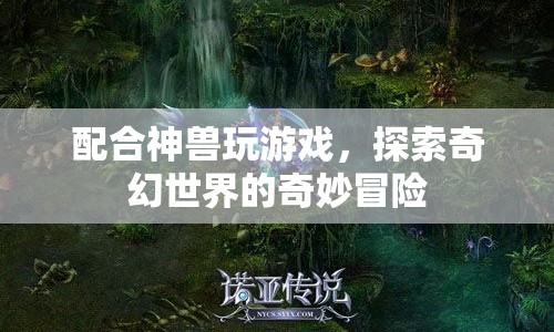 探索奇幻世界的奇妙冒險，與神獸共舞