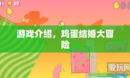 雞蛋結(jié)婚大冒險(xiǎn)，一場(chǎng)趣味橫生的冒險(xiǎn)之旅