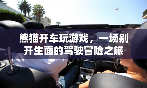 熊貓開車玩游戲，一場(chǎng)別開生面的駕駛冒險(xiǎn)之旅