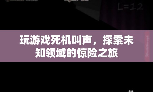 探索未知領(lǐng)域的驚險(xiǎn)之旅，游戲死機(jī)叫聲的奇妙體驗(yàn)