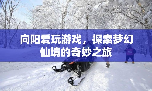 向陽的夢幻仙境之旅，探索游戲世界的奇妙