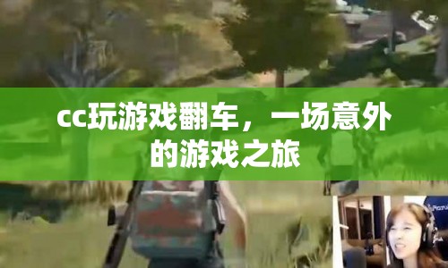 cc意外翻車，一場失控的游戲之旅  第1張