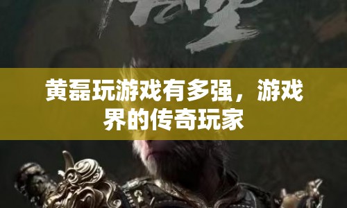 黃磊，游戲界的傳奇玩家