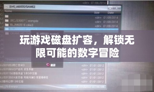 解鎖無限可能的數(shù)字冒險，游戲磁盤擴容