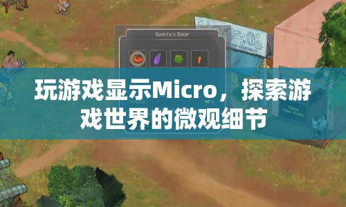 探索游戲世界的微觀細(xì)節(jié)，Micro展現(xiàn)游戲魅力