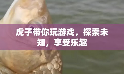 虎子帶你探索未知，享受游戲樂趣