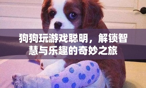 狗狗解鎖智慧與樂趣，奇妙游戲之旅