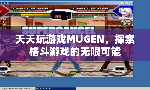 MUGEN，探索格斗游戲的無限可能  第1張