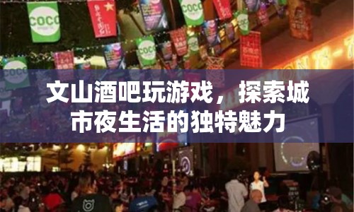 探索城市夜生活魅力，文山酒吧的趣味游戲