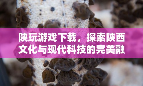 探索陜西文化與現(xiàn)代科技的完美融合，陜玩游戲下載