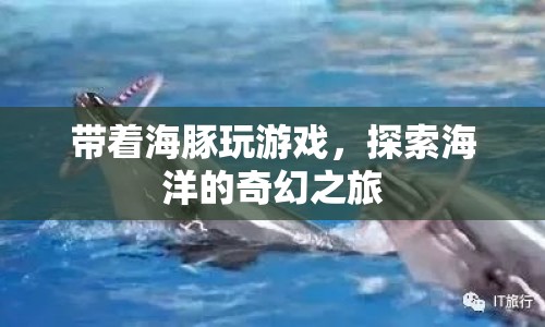 探索海洋奇幻，與海豚共舞的游戲之旅