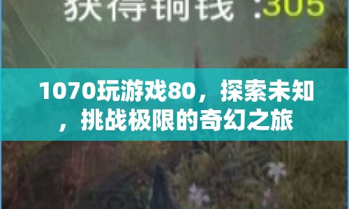 1070顯卡，挑戰(zhàn)游戲極限的奇幻之旅