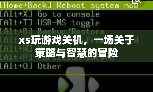 一場策略與智慧的冒險(xiǎn)，XS游戲關(guān)機(jī)之旅