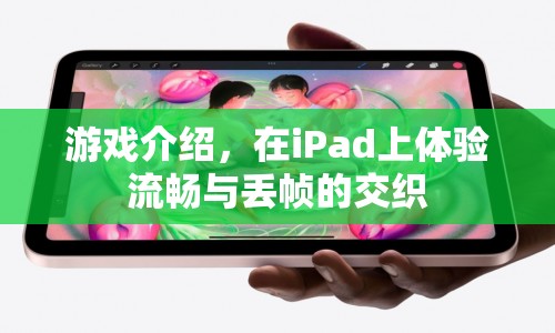 iPad游戲，流暢與丟幀的交織體驗(yàn)