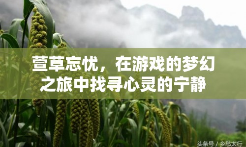 萱草忘憂，夢幻之旅中的心靈寧靜