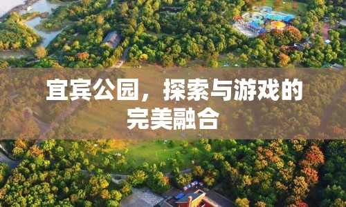 宜賓公園，探索與游戲的完美融合之地